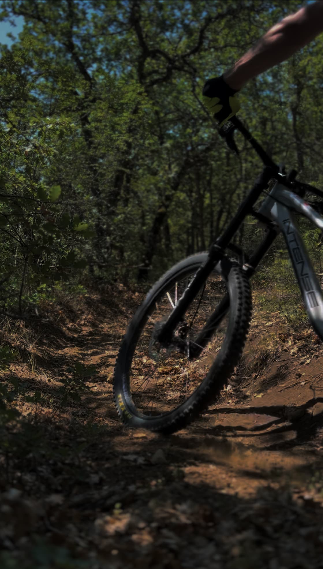 Форма заявки